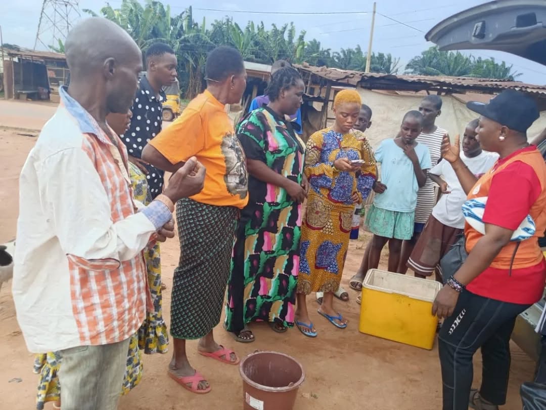 Farmers receiving chicks